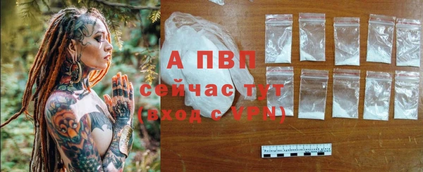 круглые Ладушкин
