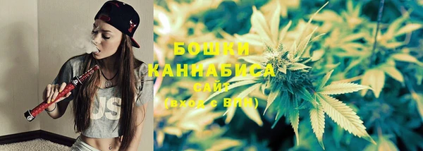 круглые Ладушкин