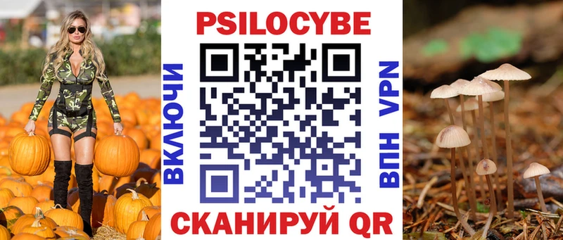 продажа наркотиков  Ростов-на-Дону  Галлюциногенные грибы GOLDEN TEACHER 