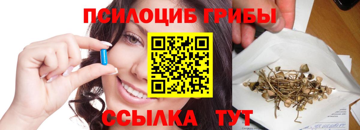 Галлюциногенные грибы ЛСД  Псилоцибиновые грибы мицелий  купить наркоту  Ростов-на-Дону  Вход с VPN 